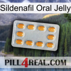 Sildenafil Oral Jelly cialis3
